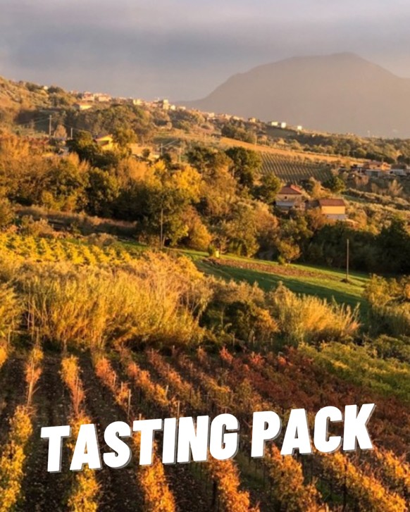 Antonio Gismondi 2020 "Tasting Pack"