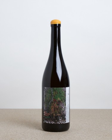 Dans les Vignes là-haut
