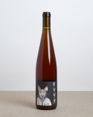 Quand le chat n'est pas là...