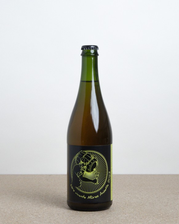 Bière Vivante Mûres Anisette