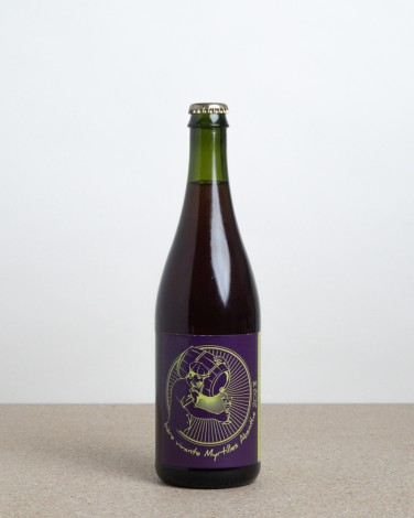 Bière Vivante Myrtille Absinthe
