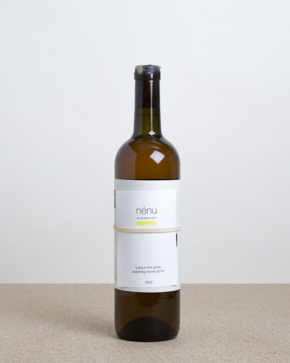 Lying in the Grass watching clouds go by