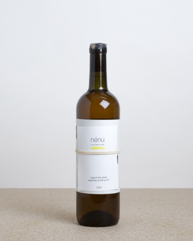 Lying in the Grass watching clouds go by