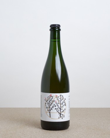 Proceeds the Gentian - Tarocco