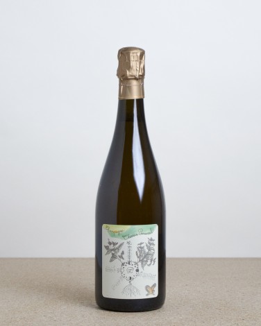 1er Cru Chamery "Le Village"