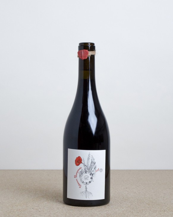 Côteaux Champenois "Chamery" Rouge