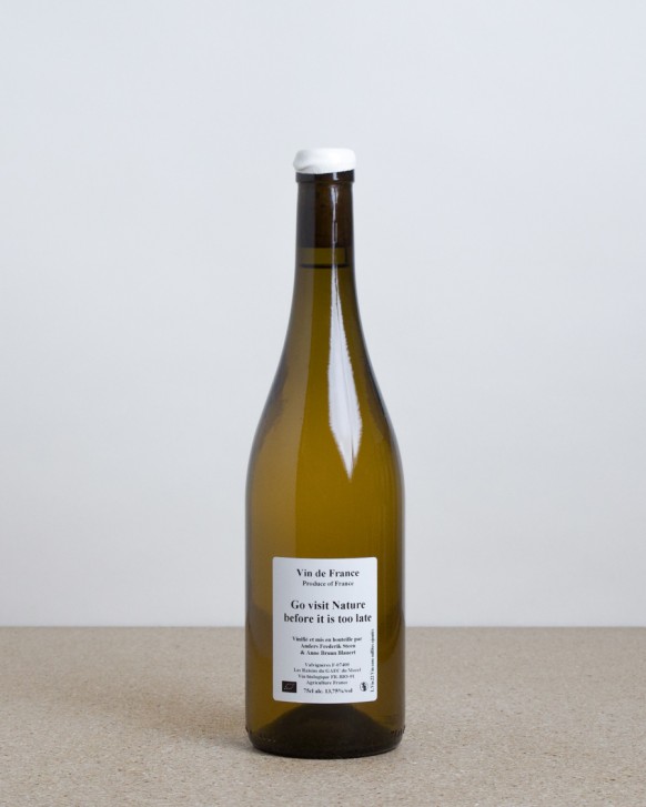 Go visit nature before it is too late