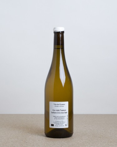 Go visit nature before it is too late