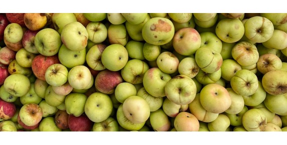 Apple & Pear ciders