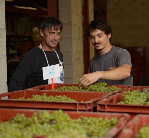 Champagne_Bonnet_Ponson_Thierry_Cyril_square