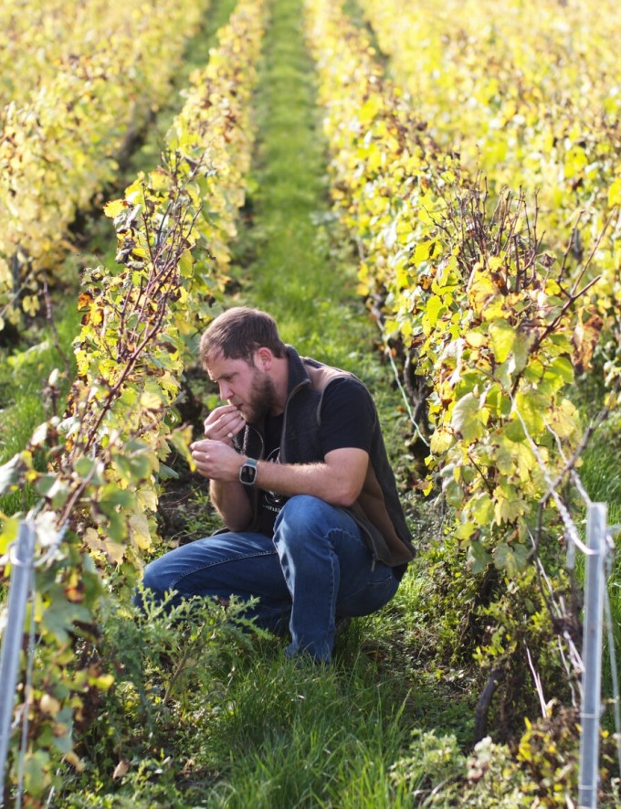 Gaspard Brochet_Banner