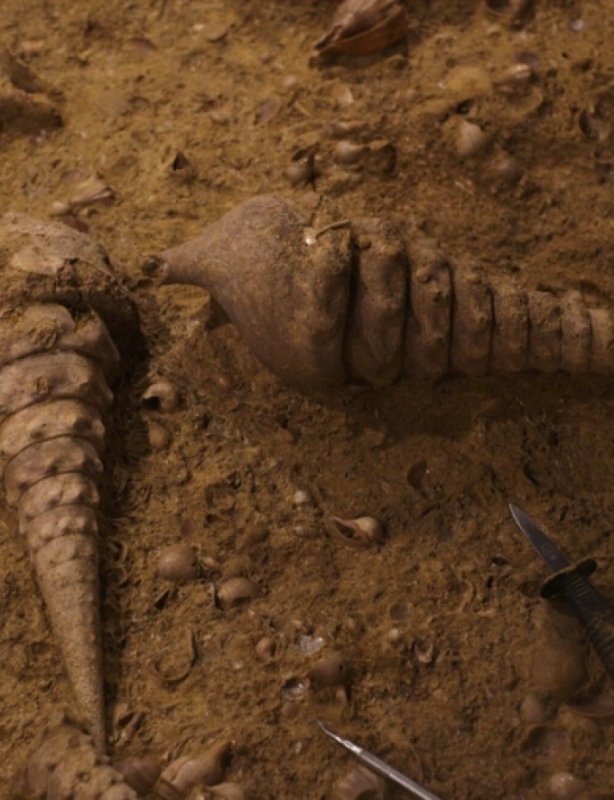 Legrand-Latour Banner