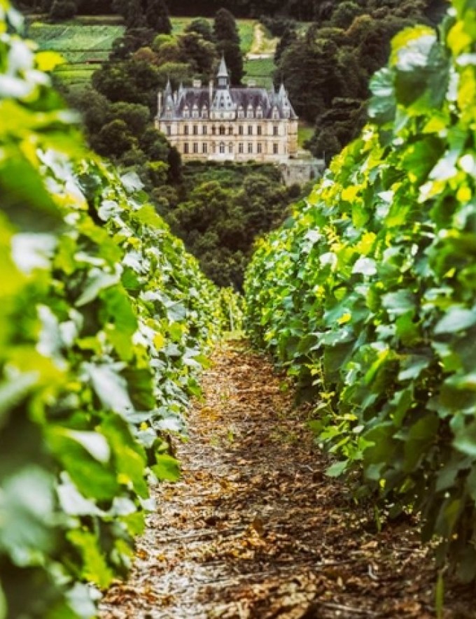 Marx Coutelas Banner