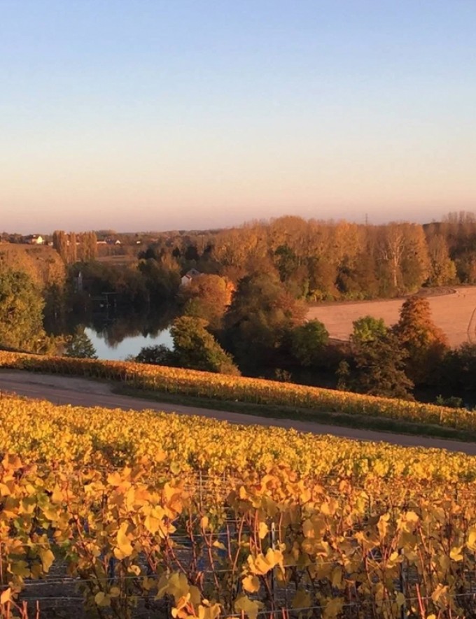 Georges Laval Banner