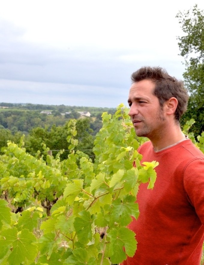 Je?ro?me Saurigny Banner